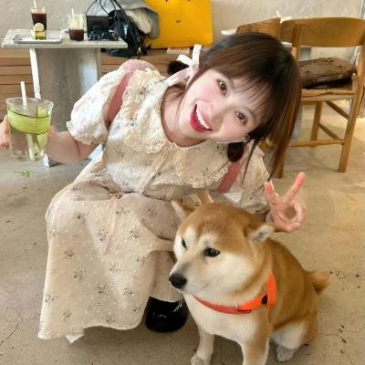 我的宠物恐龙