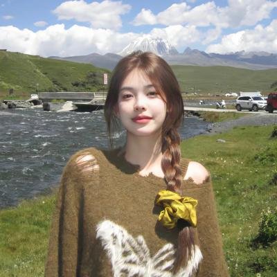 高卢英雄大战维京海盗