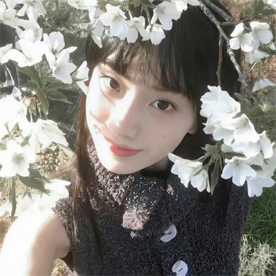 粉红蝴蝶